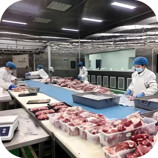 Chlorine Dioxide For Meet Processing