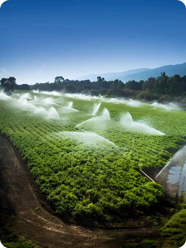 Chlorine Dioxide For Agriculture