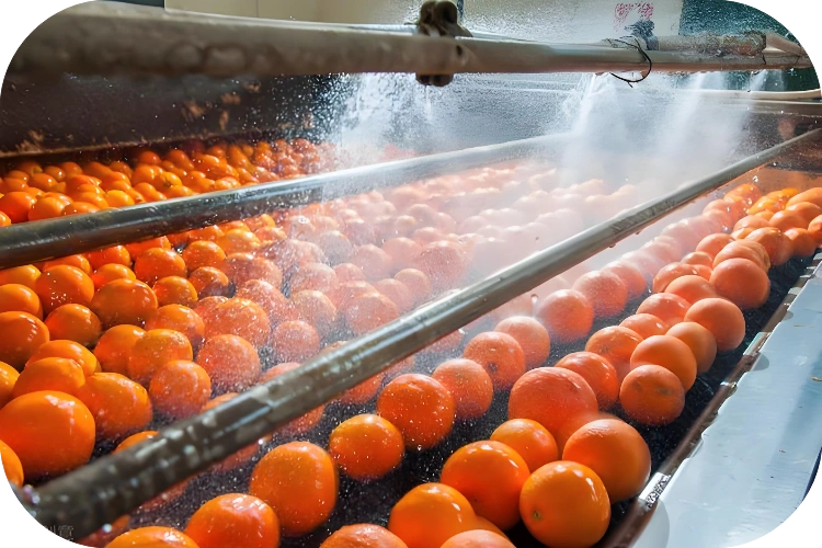 Chlorine Dioxide For Food Processing