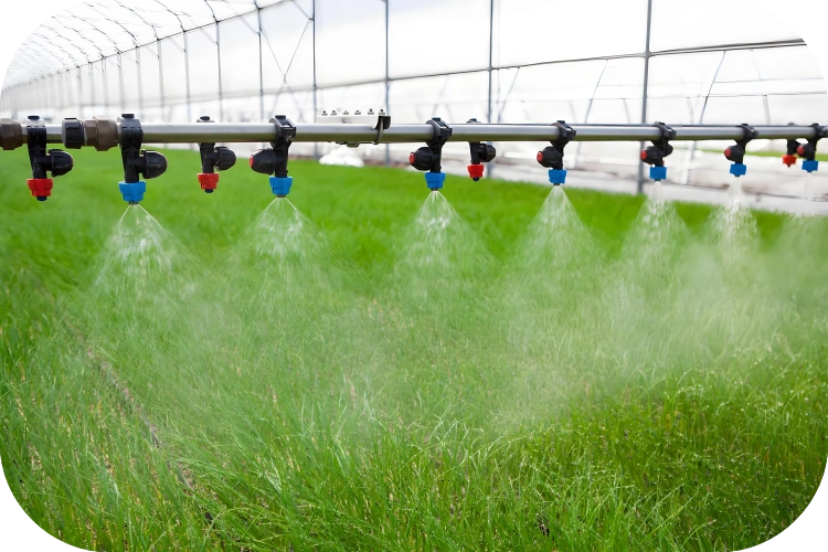 Chlorine Dioxide For